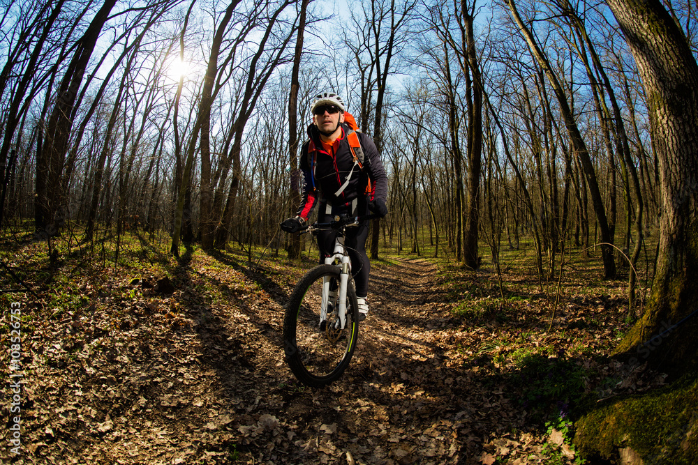 Fototapeta premium Man cyclist riding the bicycle