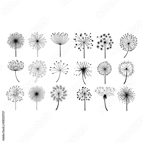 Dandelion Fluffy Seeds Flowers Set © topvectors