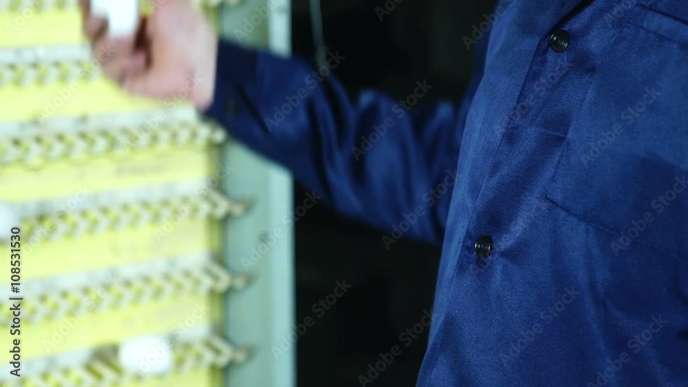 Farmer working on chicken farm, eggs and poultry production. HD. Farmer working on chicken farm, eggs and poultry production. HD.