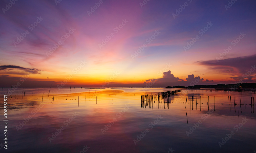 Twilight at mangrove forest area in the countryside, Thailand Twilight at mangrove forest area in the countryside, Thailand