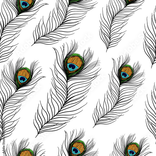 Seamless pattern with peacock feathers on white background