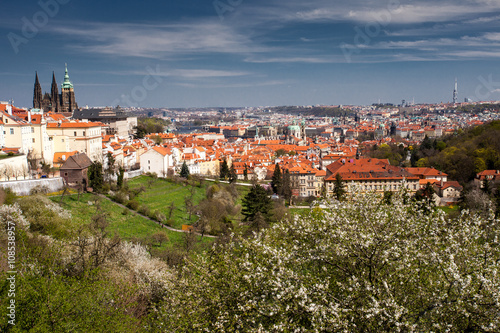 Prague spring: view of the Prague castle, St. Vitus cathedral and historic town from Petrin blossomed park, Czech Republic