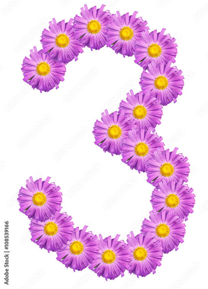 number 3 composed of colors purple asters. Isolated on white bac