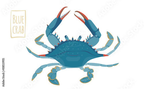 Blue crab, vector cartoon illustration