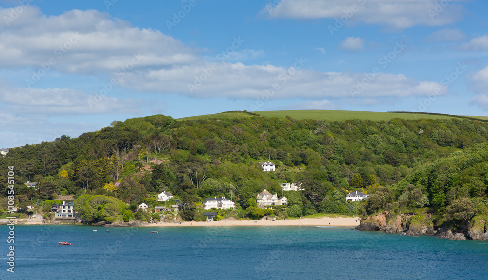 Mill Bay beach Salcombe Devon uk one of several beautiful beaches in the estuary