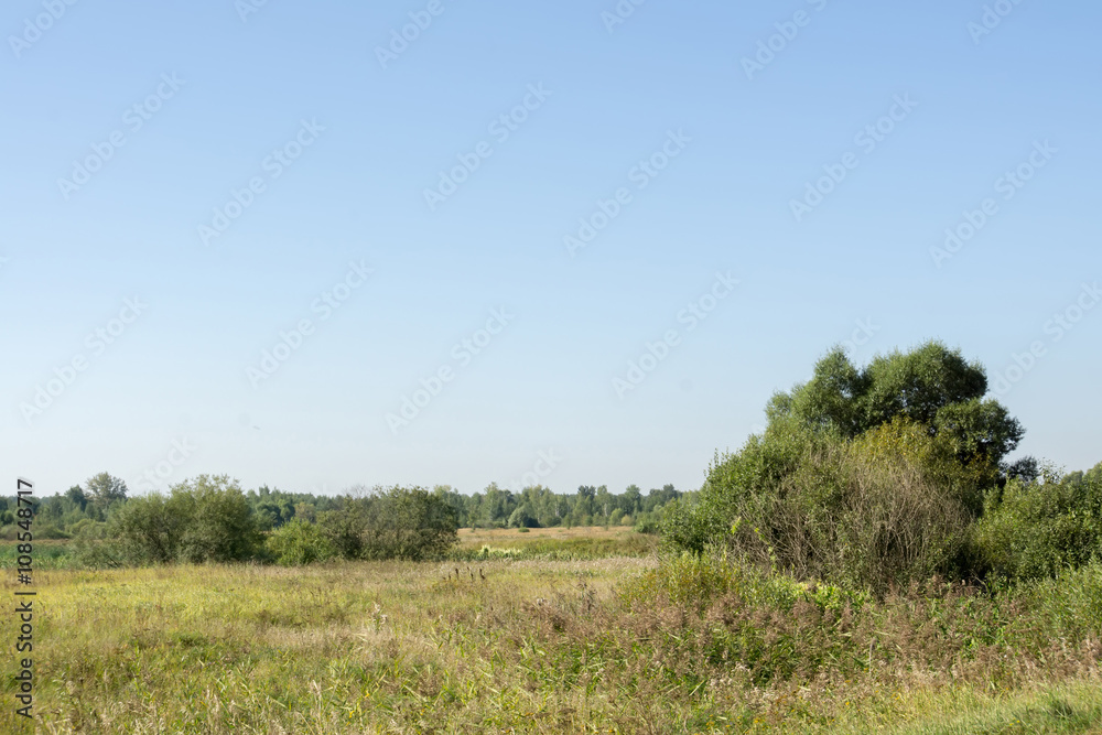 Obraz premium Summer Rural Landscape