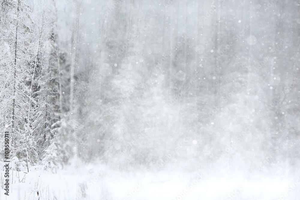 winter background blur forest snowflakes bokeh winter background blur forest snowflakes bokeh