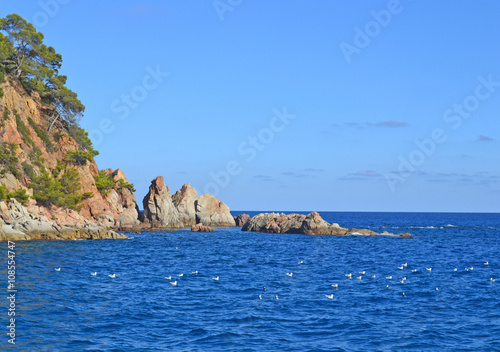 rocky sea shore