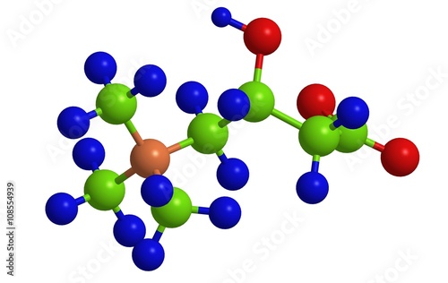 Molecular structure of L-carnitine  vitamin B20 