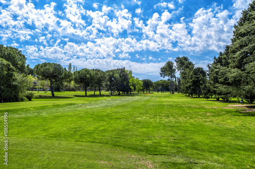 Fototapeta Naklejka Na Ścianę i Meble -  Green grass on a golf field on sunny day
