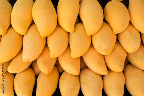 Schöne frische goldene Mangos aus ökologischer landwirtschaft zum verkauf auf einem Bauernmarkt .