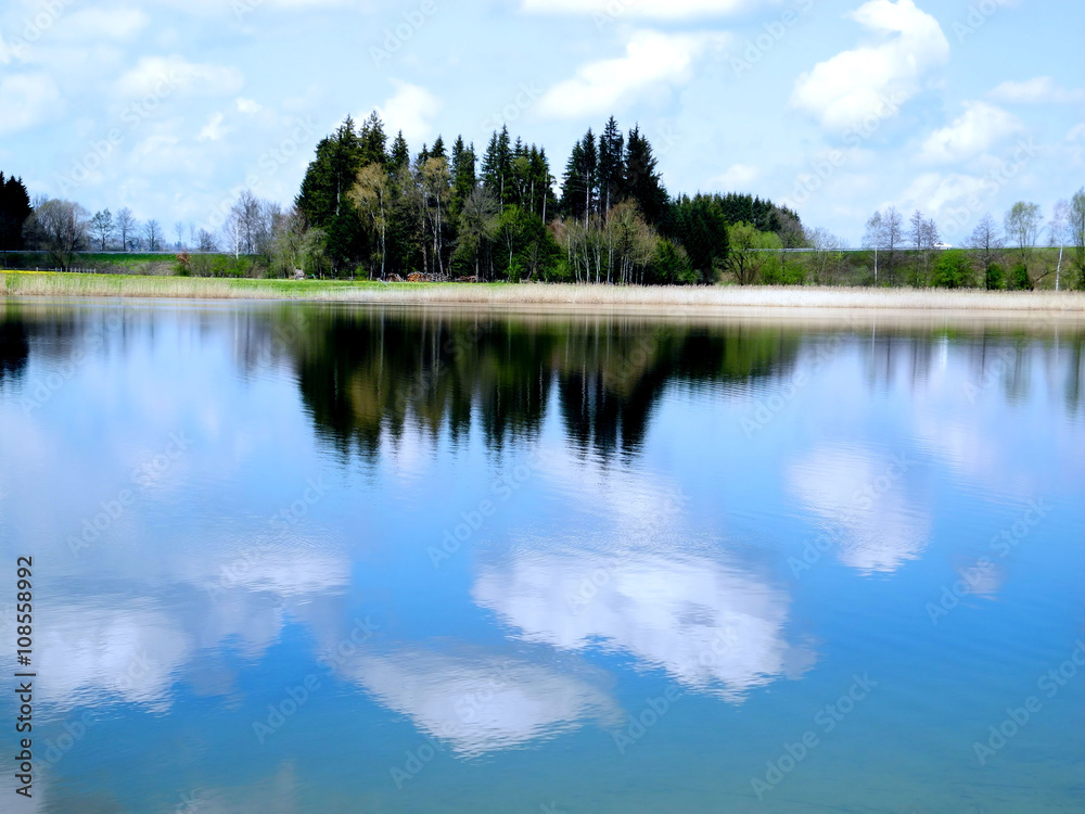 Wasserspiegelung von Bäumen im See