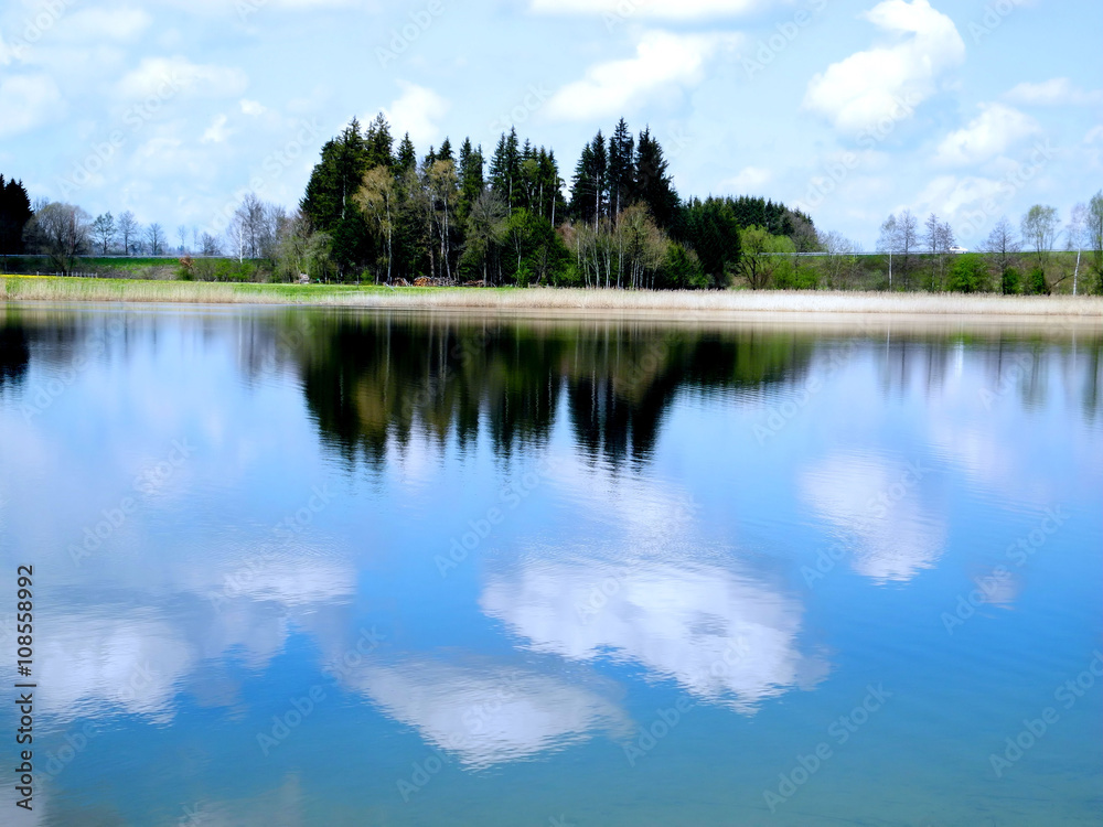 Wasserspiegelung von Bäumen im See Wasserspiegelung von Bäumen im See