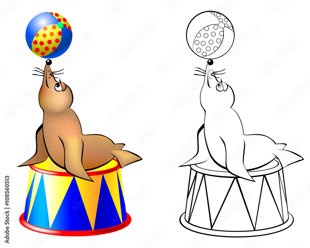 Colorful and black and white pattern seal in a circus, vector cartoon  image. Stock Vector | Adobe Stock
