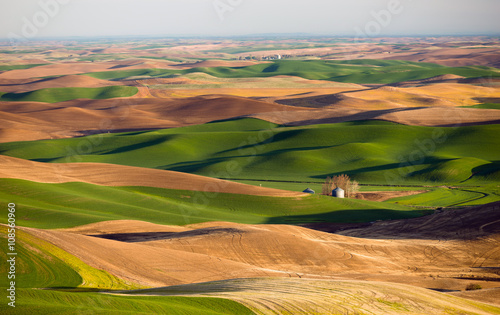 Palouse Region Steptoe Butte Farmland Rolling Hills Agriculture