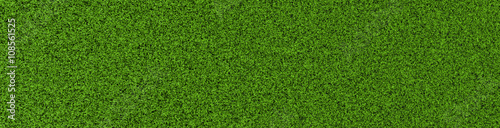 Gras-Hintergrund