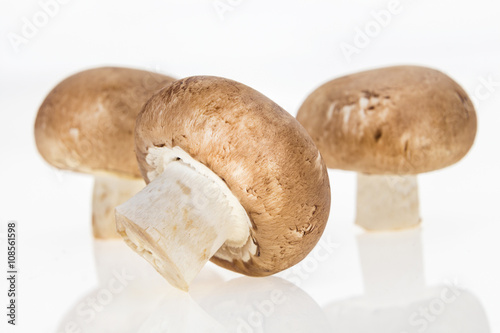 Bunch of button mushrooms, on white background.