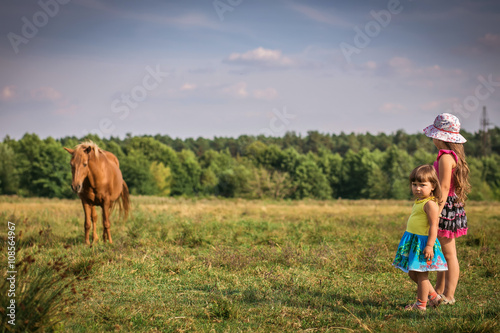 Beautiful scene. Two young girls on a meadow. Brown horse in the background blurred. Sunny summer day.  childhood, leisure, friendship and people concept.  Children playing outdoors. series © jenyateua