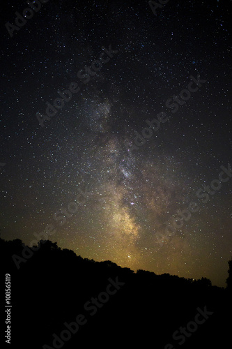 Milky Way and a forest tree line.