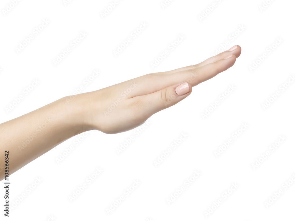 hand hand