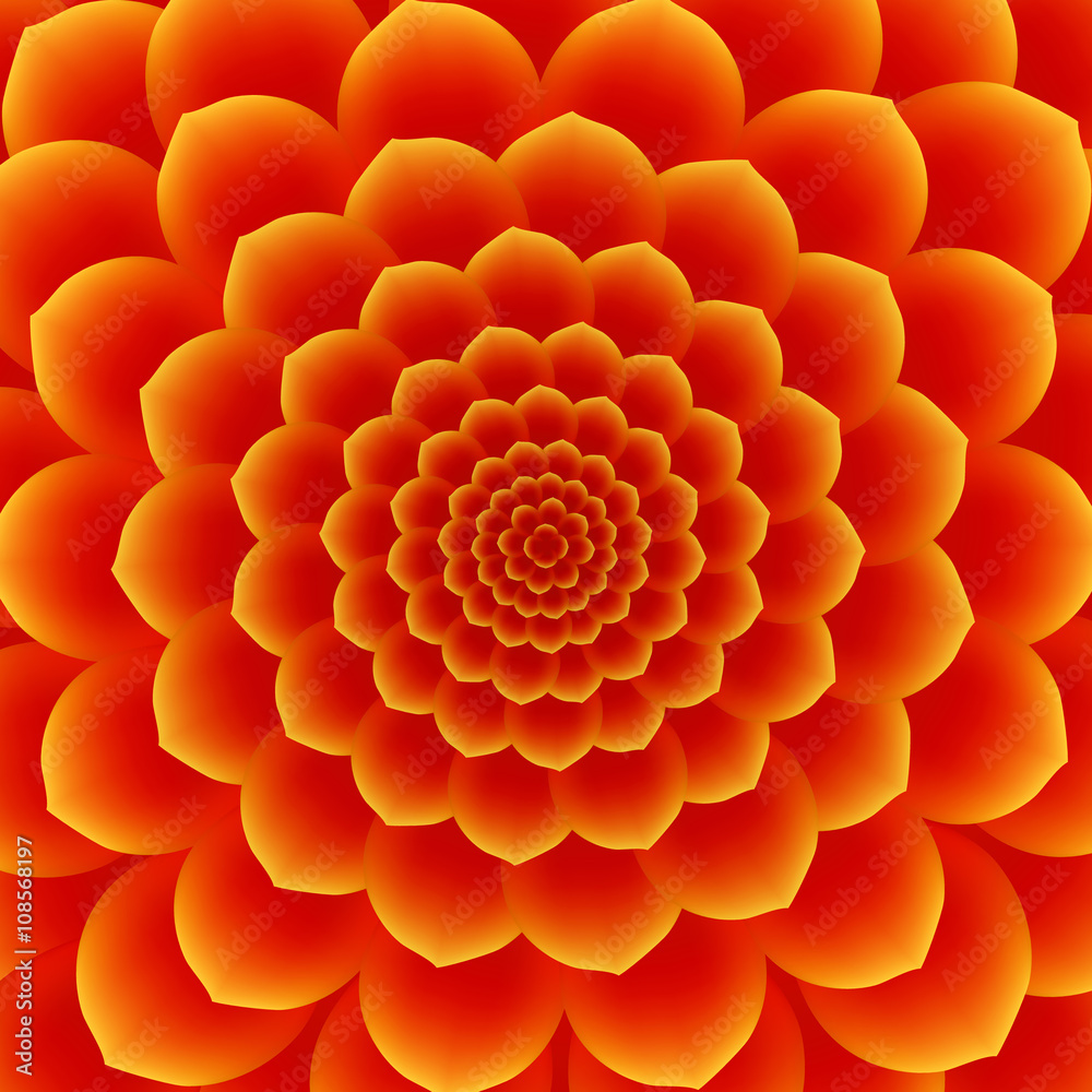 beautiful petals vector beautiful petals vector