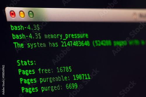 Terminal shown memory usage on unix os