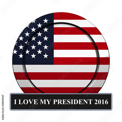 Icon Flag of the United States