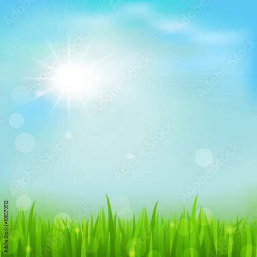 Spring background with green early spring grass on blurred soft background. © funkyplayer
