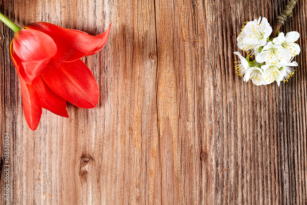 Red tulip blossom on a wooden table Red tulip blossom on a wooden table