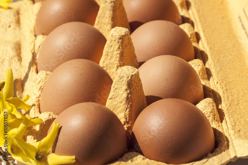  Cardboard egg box with brown eggs