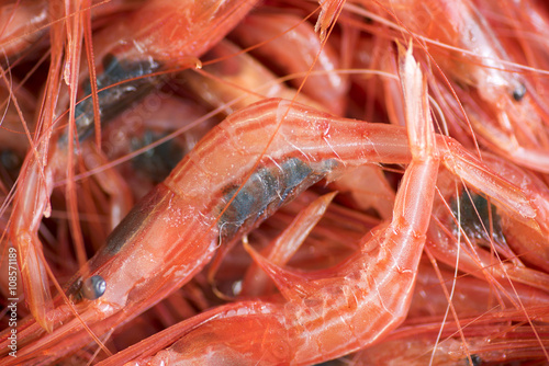 Appetizing fresh shrimp, freshly caught