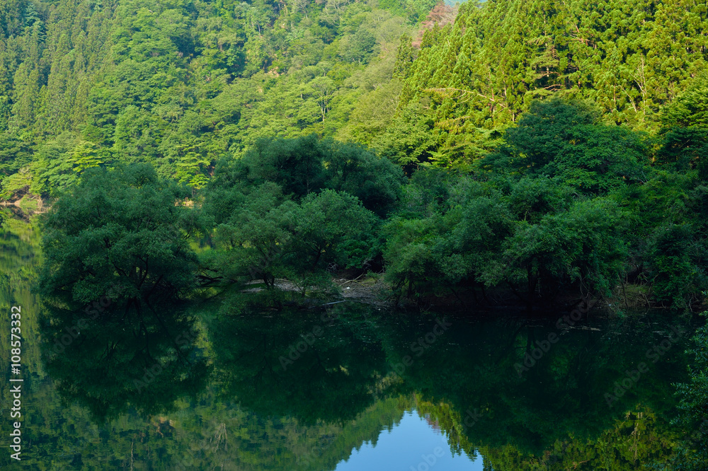 みどり湖の水鏡
みどり湖の水鏡