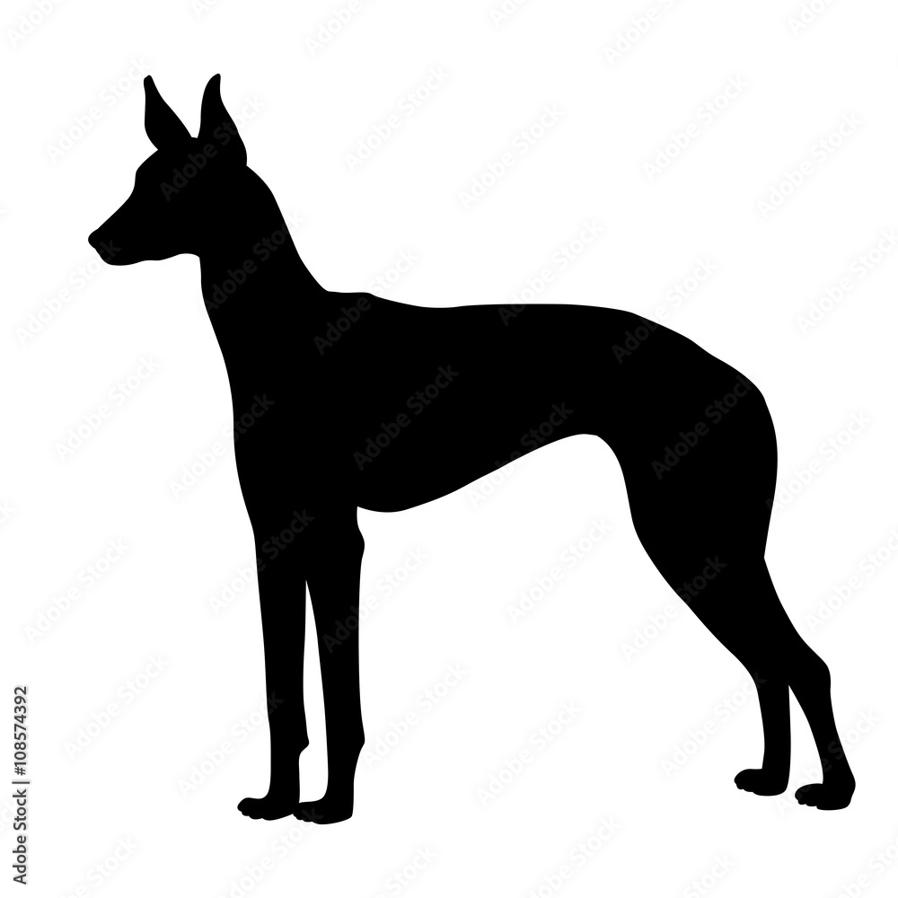 Fototapeta premium Pharaohs dog black silhouette 