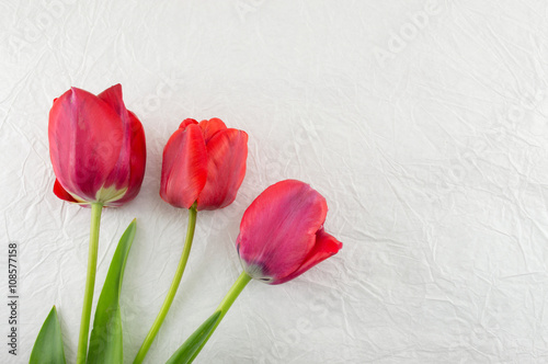 Fototapeta Naklejka Na Ścianę i Meble -  Red tulips on a wooden table