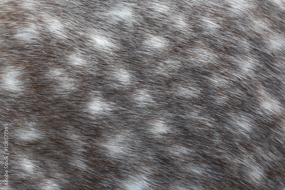 custom made wallpaper toronto digitalDappled grey horse skin texture