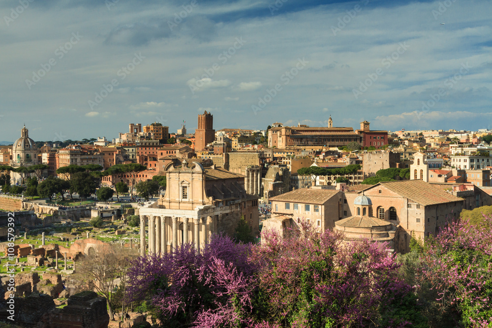 Fototapeta premium Viewpoint of the Forum Romanum