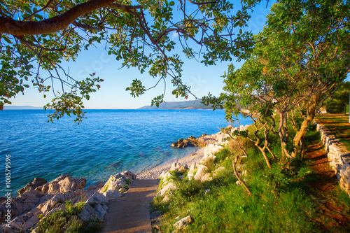 Amazing rocky beach with cristalic clean sea water with pine trees n the coast of Adriatic Sea, Istria, Croatia