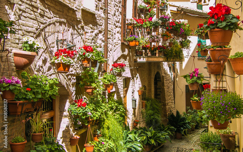 Beautiful view of charming floral streets in Spello  Umbria - Italy.