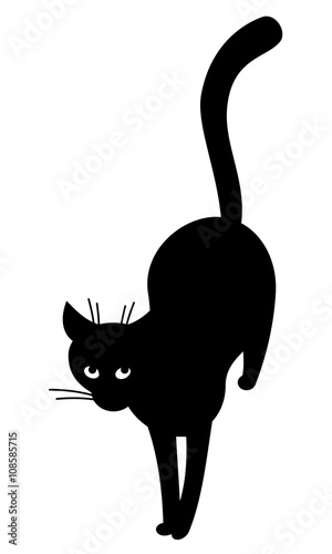 Black cat silhouette. Top view. Vector clip art.