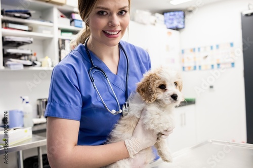 Portrait of vet holding dog