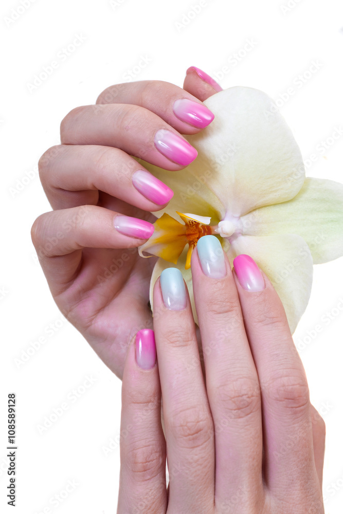 Closeup photo of a beautiful female hands with multicolored manicure and Orchid isolated on white background
