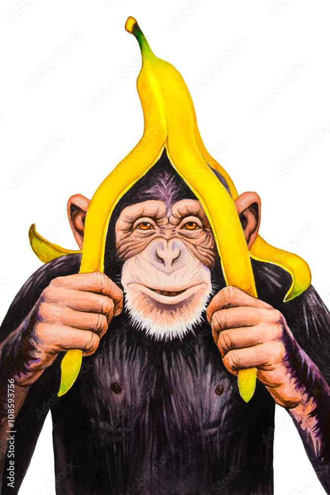 Fototapeta premium Szympans ze skórką od banana na głowie. Akwarela ilustracja.