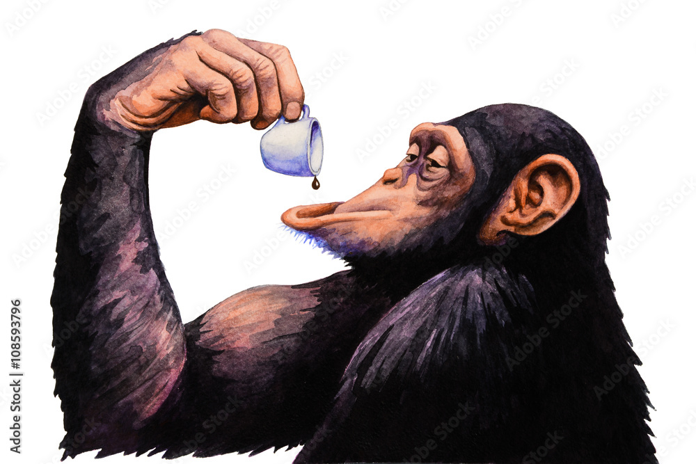 Fototapeta premium Monkey drink a cup of coffee. Watercolor illustration.