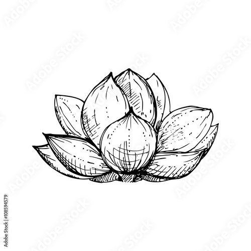 hand drawn ink floral ornament with flowers lotus. vector eps 10