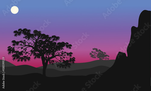 Silhouette of tree at the night