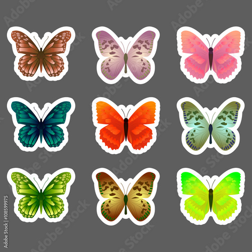 Set of vector butterflies stickers