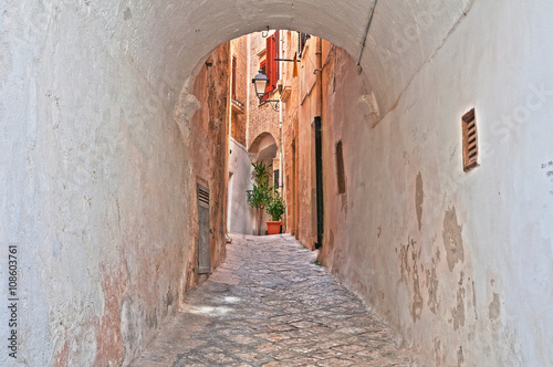 Fototapeta Naklejka Na Ścianę i Meble -  Alleyway. Polignano a mare. Puglia. Italy. 