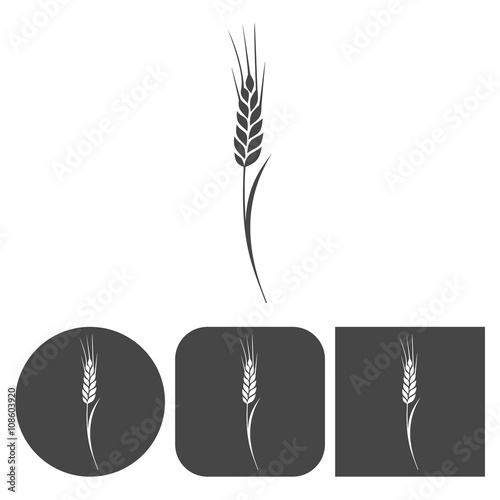 Wheat (Ears of wheat) - vector icons set