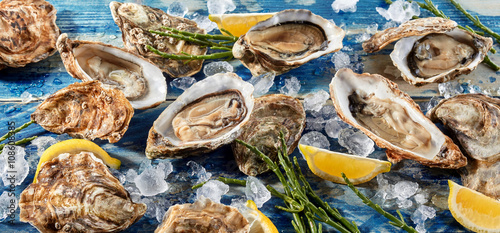 Buffet of fresh shucked oysters on ice photo