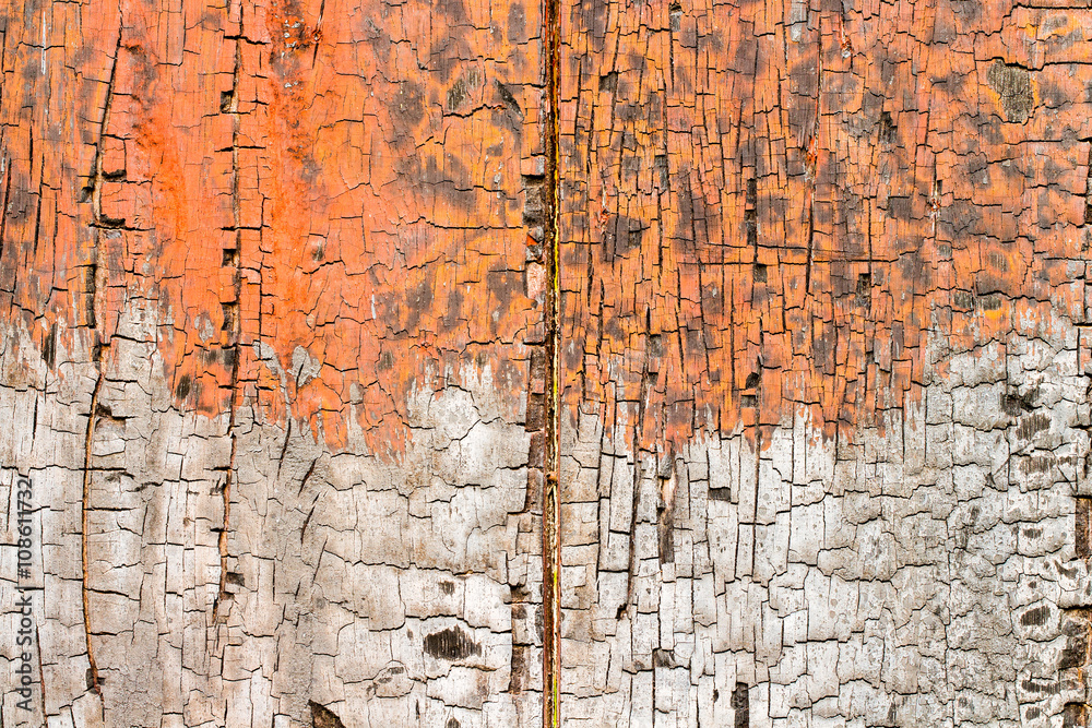 Obraz premium wood texture. background old panels